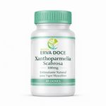 Xanthoparmelia Scabrosa 100mg 30 Doses