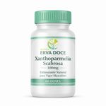 Xanthoparmelia Scabrosa 100mg 60 Doses
