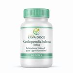 Xanthoparmelia Scabrosa 50mg 60 Doses