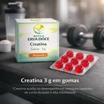 Creatine Gummies (Gomas de Creatina) 3g – Performance e Praticidade Premium