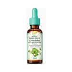 Homeopatia Alívio de Picadas e Alergias 30mL Kids e Baby