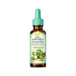 Fortinho Ferro e Vitamina C em Gotas 20mL Uso Infantil