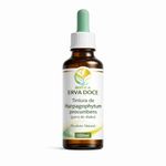 Tintura de Harpagophytum procumbens (garra do diabo) 100ml