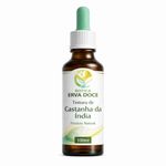 Tintura de Castanha-da-Índia 100ml