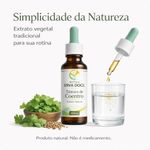 Tintura de Coentro 100ml