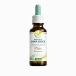 Floral de Bach Pine Remorso 30ml