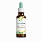 Floral de Bach Scleranthus Decisões 30ml