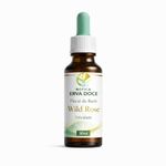 Floral de Bach Wild Rose Felicidade 30ml