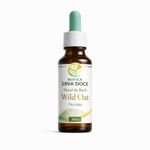 Floral de Bach Wild Oat Decisão 30ml