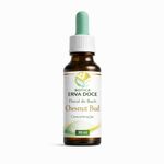 Floral de Bach Chestnut Bud Concentração 30ml