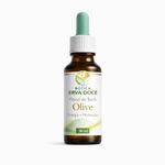 Floral de Bach Olive Energia e Motivação 30ml