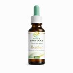 Floral de Bach Hearther - Aceitação e Convívio Social 30ml
