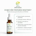 Kit Clareza e Foco  Tinturas Alecrim Ginkgo Biloba