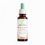 Floral Feminino de Bach Foco e Clareza Mental 30ml