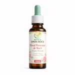 Floral Feminino de Bach Segurança e Poder Pessoal 30ml