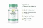 Motility 300mg 60 doses