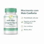 Colágeno Tipo II 40mg 30 Doses