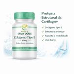 Colágeno Tipo II 40mg 60 Doses