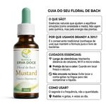 Floral de Bach Rescue S.O.S Calma e Tranquilidade 30ml