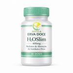 H2OSlim 400mg Redutor Absorção de Gordura e Peso 30 cápsulas