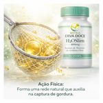 H2OSlim 400mg Redutor Absorção de Gordura e Peso 60 cápsulas
