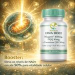 Niagen 100mg PQQ 10mg  e Coenzima Q10 50mg 30 Doses