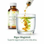 Elixir Articula Flex  Mobilidade e Conforto Total 250ml