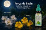 Floral Terror Noturno e Pesadelos 30mL Crescinho Kids e Baby
