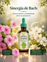 Floral Equilibrio Crescinho Kids e Baby 30mL: Autocontrole