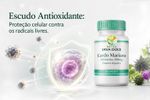 Silimarina Cardo Mariano 200mg 120 Doses