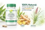 Biointestil 600mg Original 60 Doses