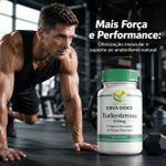 Turkesterone 500mg 120 Doses