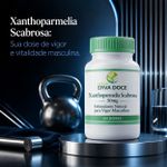 Xanthoparmelia Scabrosa 50mg 60 Doses