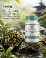 Xanthoparmelia Scabrosa 50mg 60 Doses