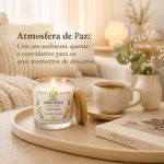 Vela Aromática Baunilha Aconchego 200g Botica Essence Spa