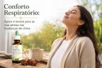 Tintura de Anis Estrelado 100ml