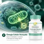 Cordyceps sinensis 650mg 30 Doses