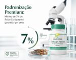 Cordyceps sinensis 650mg 180 Doses
