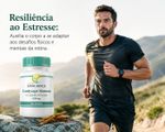 Cordyceps sinensis 650mg 120 Doses