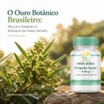 Propolis Verde 500mg 60 Doses