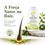 Shampoo Antiqueda 250ml