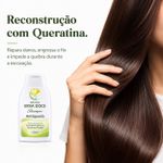 Shampoo Antiqueda 120ml
