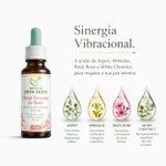Floral Feminino Bach Relaxamento e Descanso Reparador 30ml