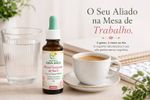 Floral Feminino de Bach Foco e Clareza Mental 30ml
