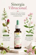 Floral Feminino de Bach Segurança e Poder Pessoal 30ml