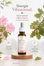 Floral Feminino de Bach Calma e Serenidade Diária 30ml
