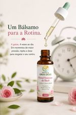 Floral Feminino de Bach Calma e Serenidade Diária 30ml