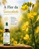 Floral de Bach Mustard 30ml