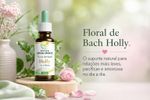 Floral de Bach Holly 30ml