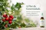 Floral de Bach Holly 30ml